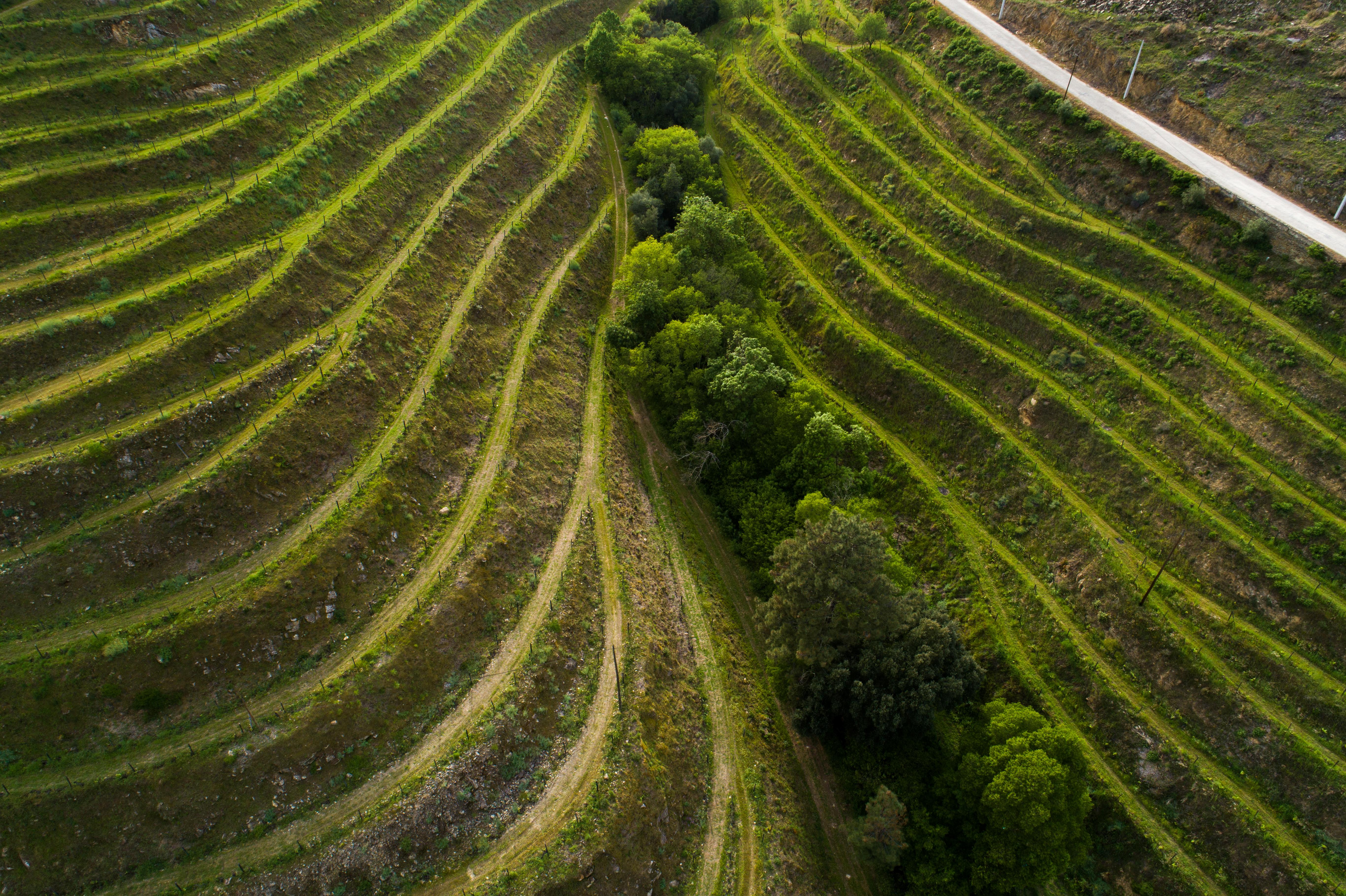 Vila Gale Douro Vineyards 아마마 외부 사진
